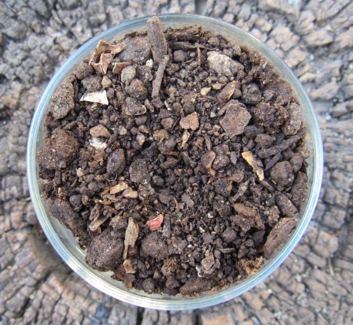 Abono orgánico Broterativa 40 L