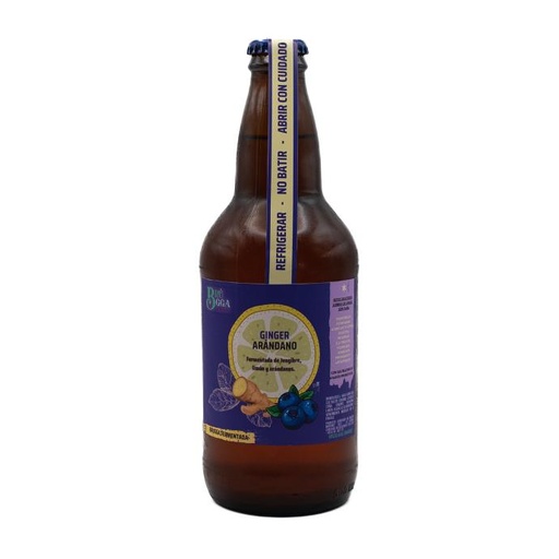 [10032] Ginger Arándano 330 ml