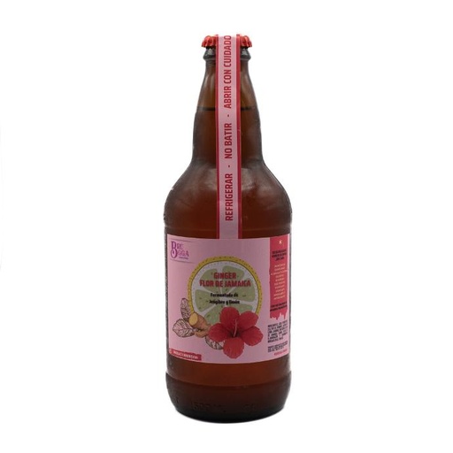 Ginger Hibisco 330 ml